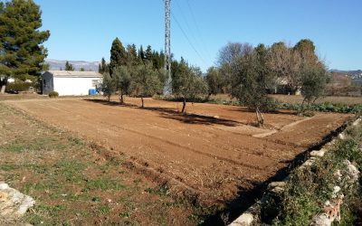 Parcela de Regadío en Cocentaina. Partida Beniassent